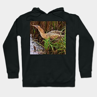 Bittern Hoodie